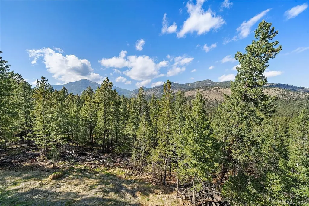 33884 Bergen View Trail Evergreen CO 80439