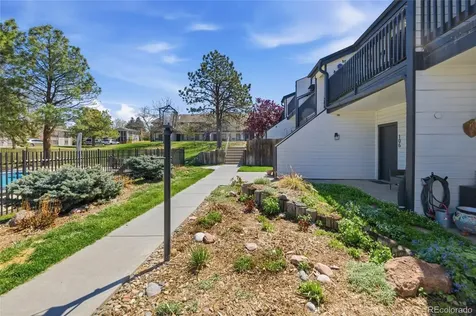 532 Oakwood Drive Castle Rock CO 80104