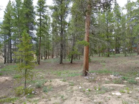 813 Topaz Street Leadville CO 80461