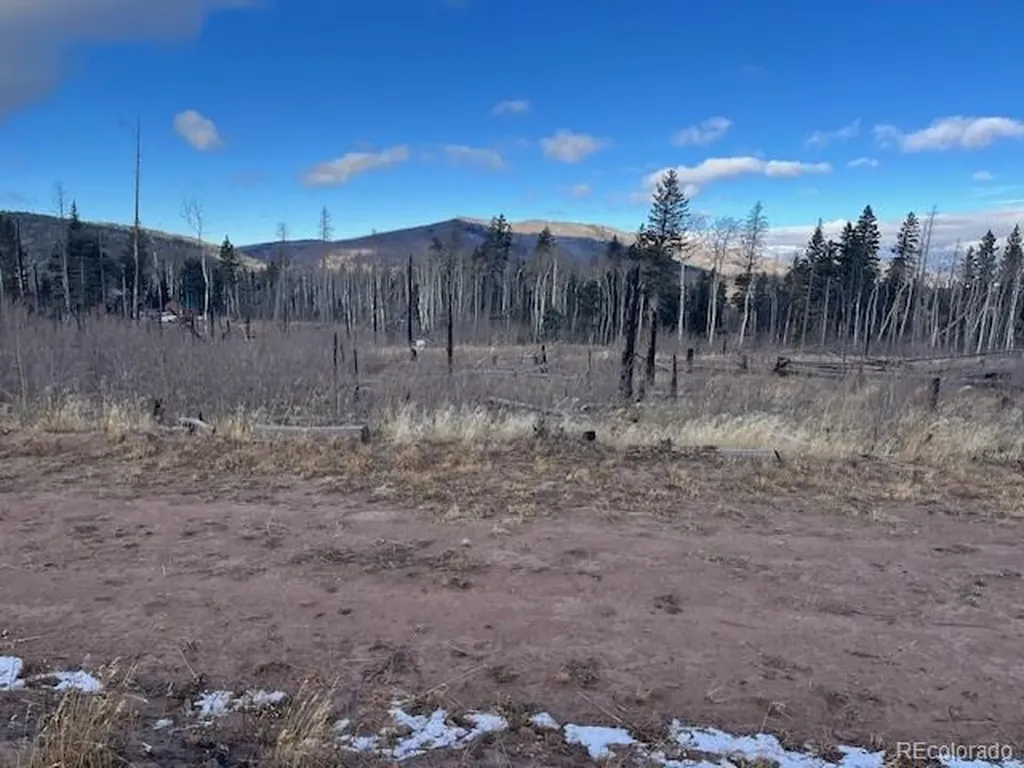 Lot 2544 Petito Drive Fort Garland CO 81133