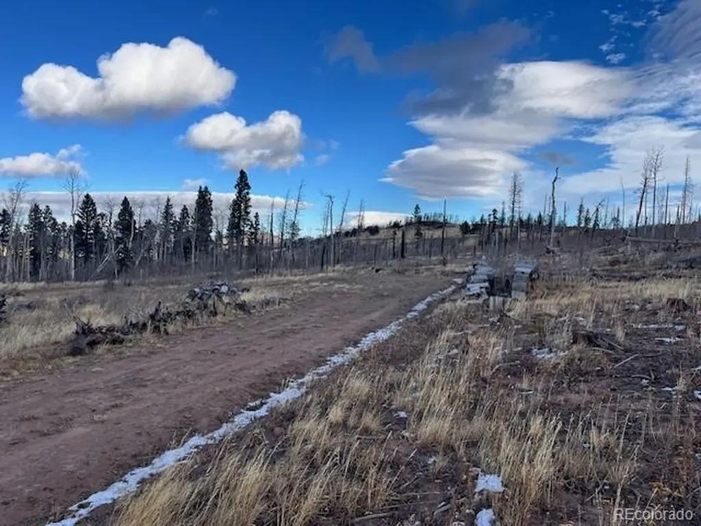 Lot 2544 Petito Drive Fort Garland CO 81133