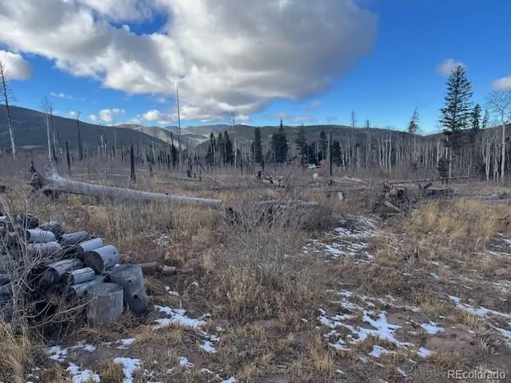 Lot 2544 Petito Drive Fort Garland CO 81133