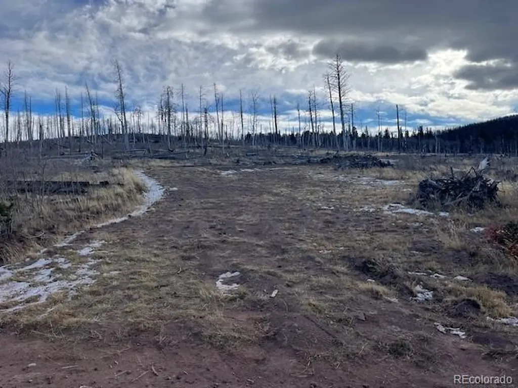 Lot 2544 Petito Drive Fort Garland CO 81133