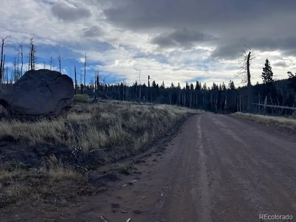 Lot 2544 Petito Drive Fort Garland CO 81133