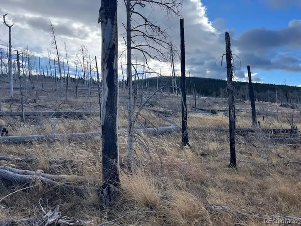 Lot 2544 Petito Drive Fort Garland CO 81133