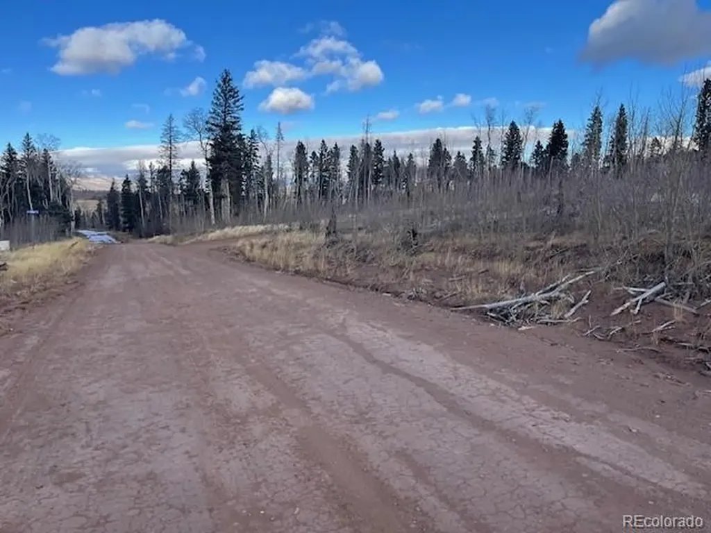 Lot 2544 Petito Drive Fort Garland CO 81133
