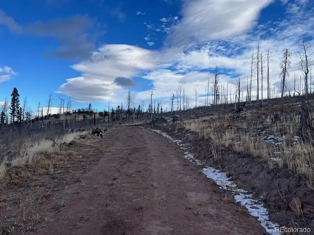 Lot 2544 Petito Drive Fort Garland CO 81133