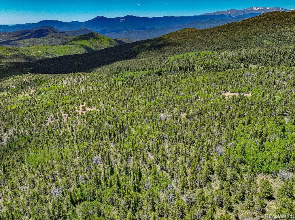 123 Yankee Hill Trail Black Hawk CO 80427