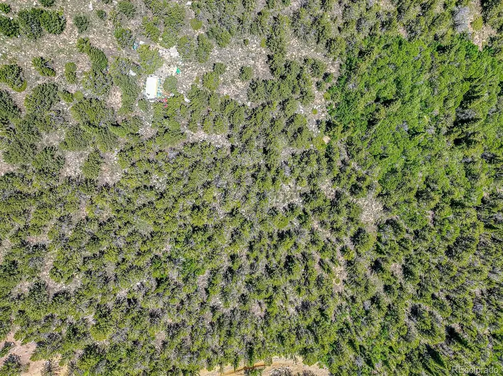123 Yankee Hill Trail Black Hawk CO 80427