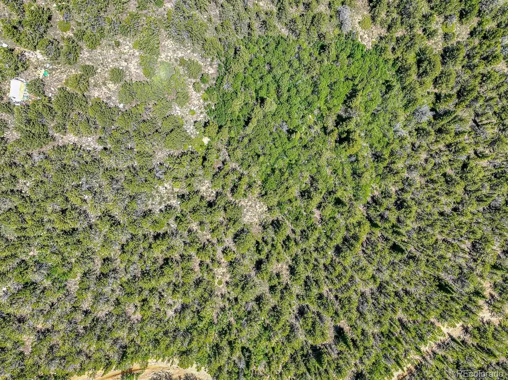 123 Yankee Hill Trail Black Hawk CO 80427