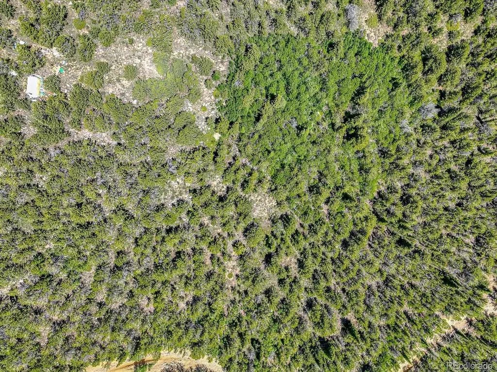 123 Yankee Hill Trail Black Hawk CO 80427