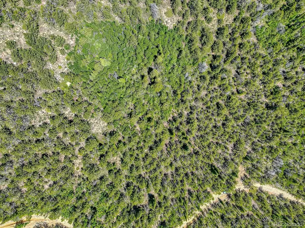 123 Yankee Hill Trail Black Hawk CO 80427