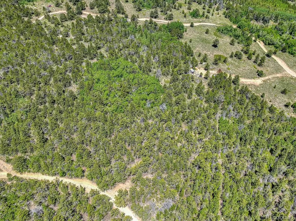 123 Yankee Hill Trail Black Hawk CO 80427