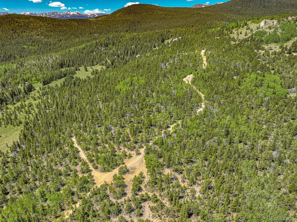123 Yankee Hill Trail Black Hawk CO 80427