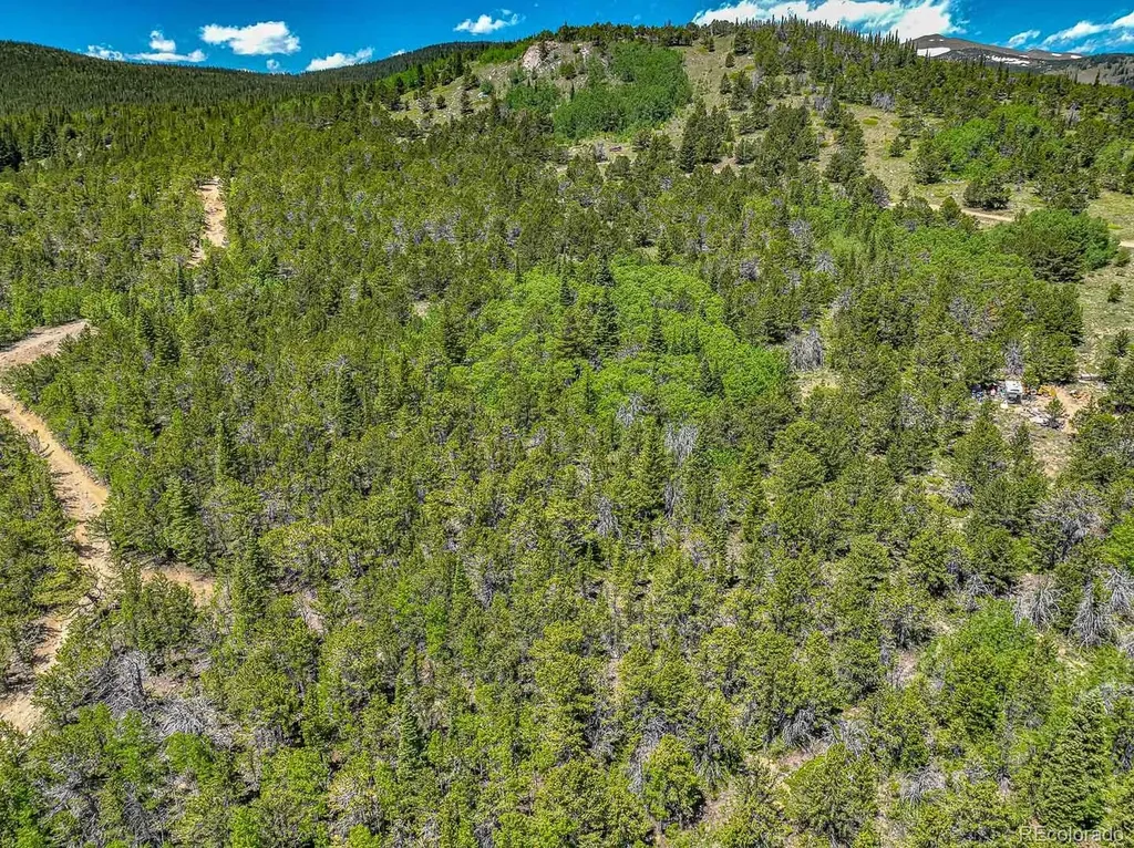 123 Yankee Hill Trail Black Hawk CO 80427