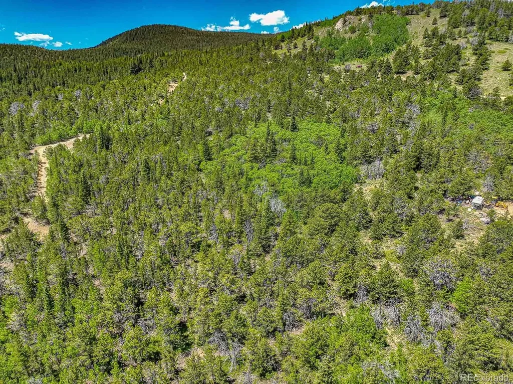 123 Yankee Hill Trail Black Hawk CO 80427