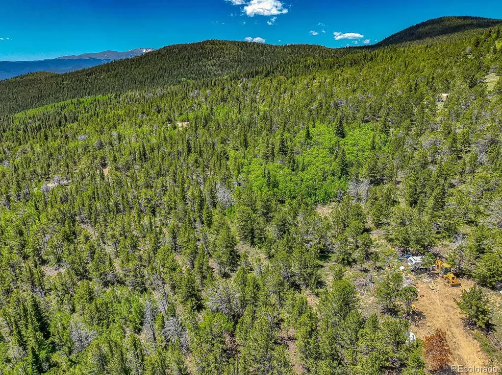 123 Yankee Hill Trail Black Hawk CO 80427