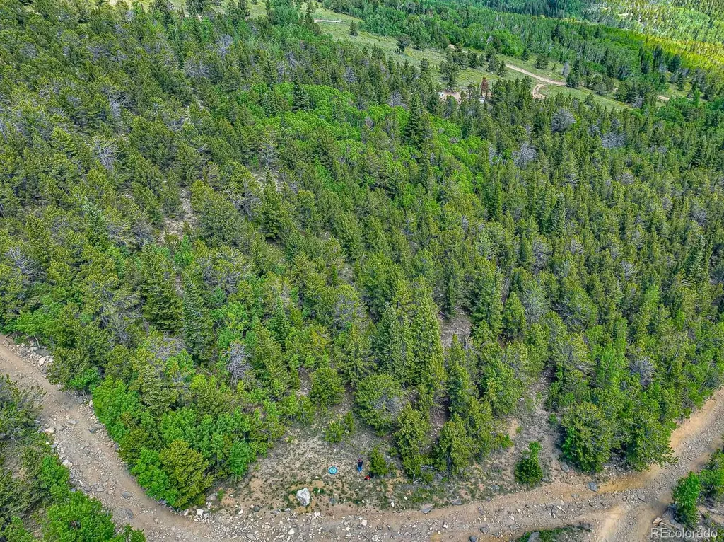 123 Yankee Hill Trail Black Hawk CO 80427