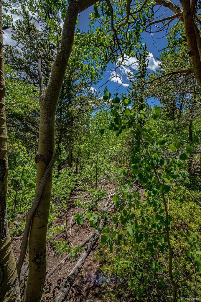 123 Yankee Hill Trail Black Hawk CO 80427