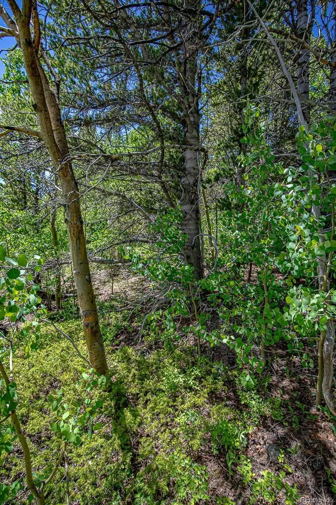 123 Yankee Hill Trail Black Hawk CO 80427
