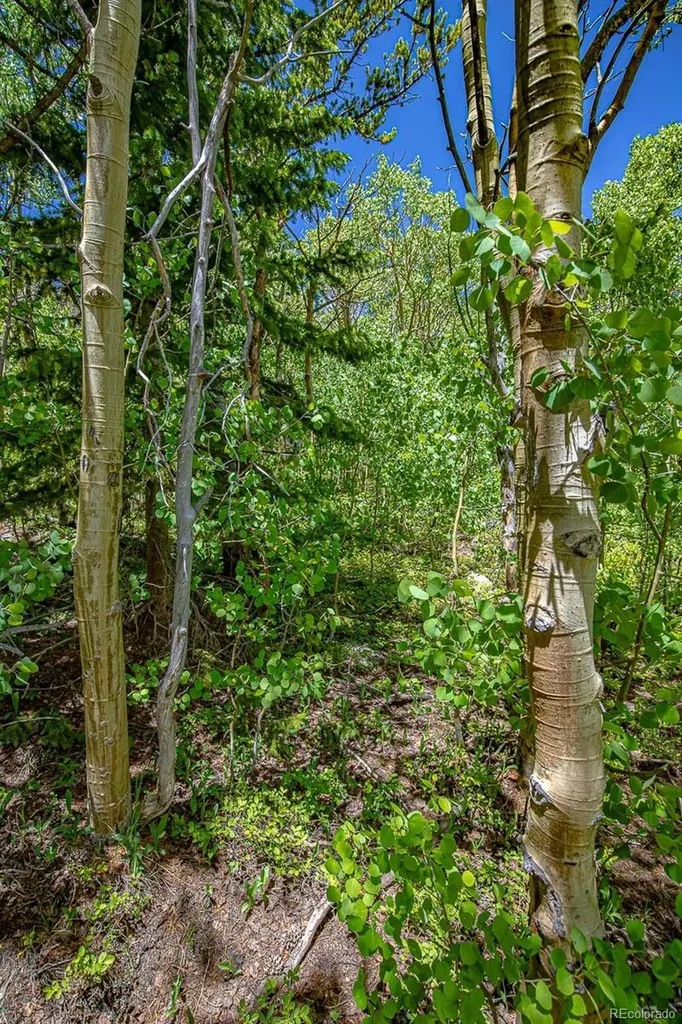 123 Yankee Hill Trail Black Hawk CO 80427