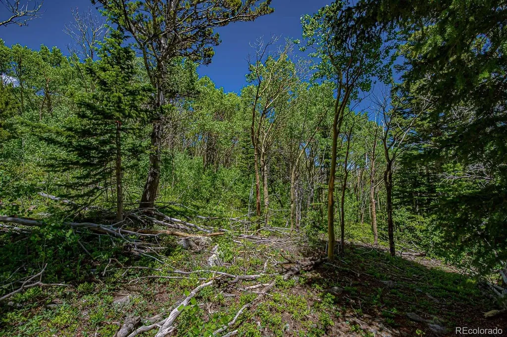 123 Yankee Hill Trail Black Hawk CO 80427