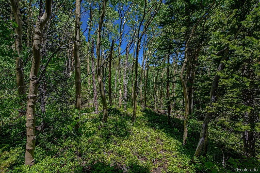 123 Yankee Hill Trail Black Hawk CO 80427