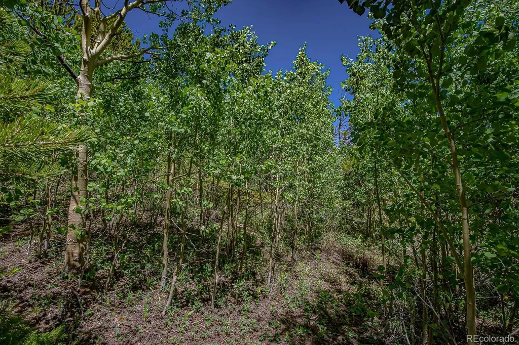 123 Yankee Hill Trail Black Hawk CO 80427