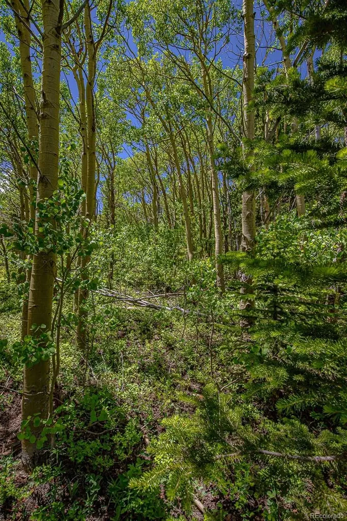 123 Yankee Hill Trail Black Hawk CO 80427