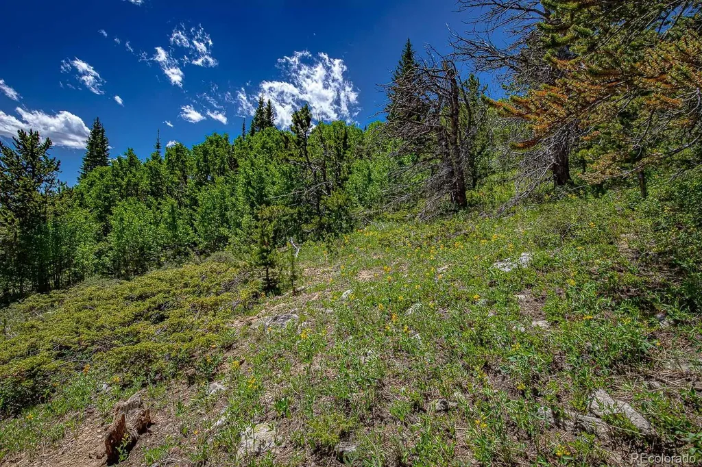 123 Yankee Hill Trail Black Hawk CO 80427