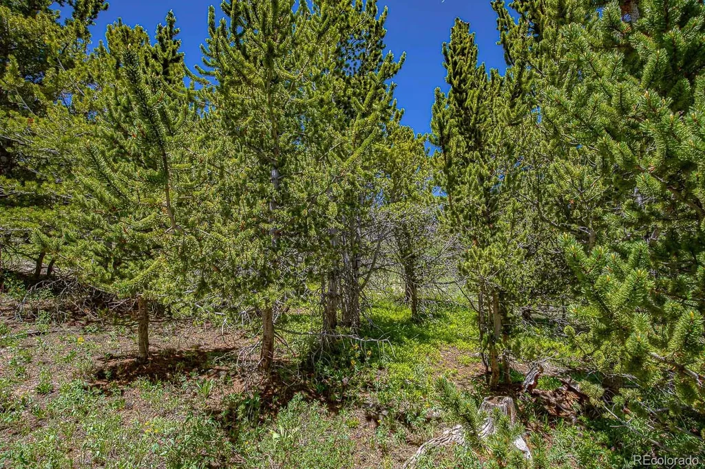 123 Yankee Hill Trail Black Hawk CO 80427