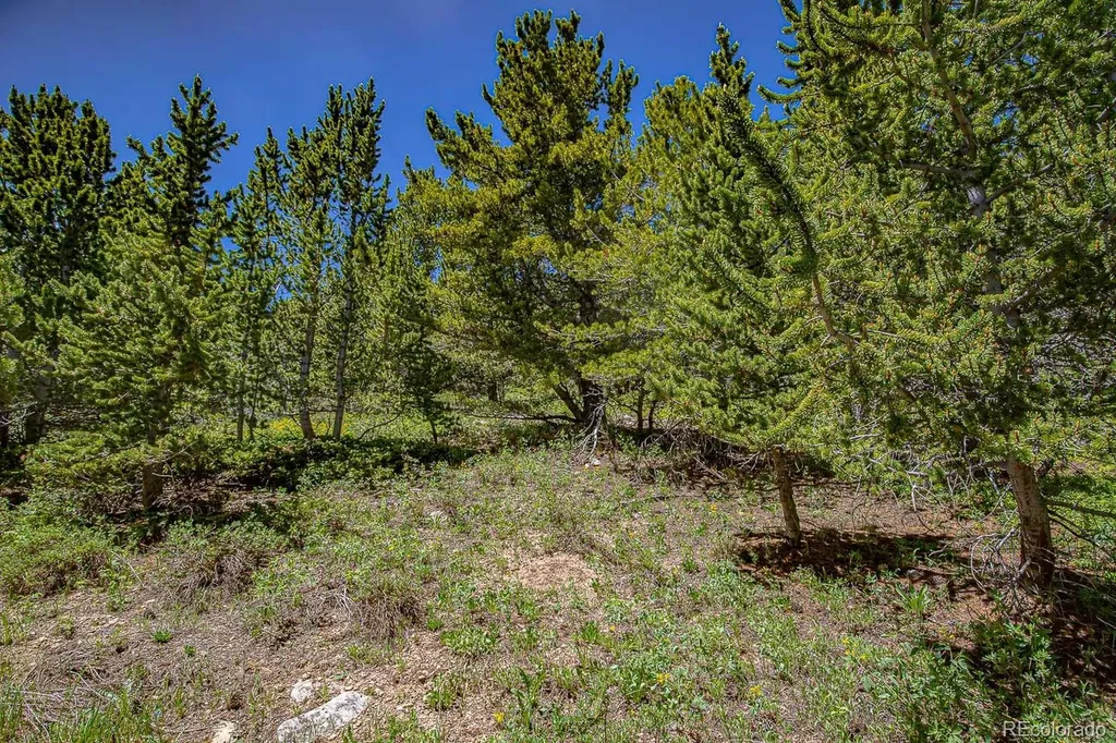 123 Yankee Hill Trail Black Hawk CO 80427