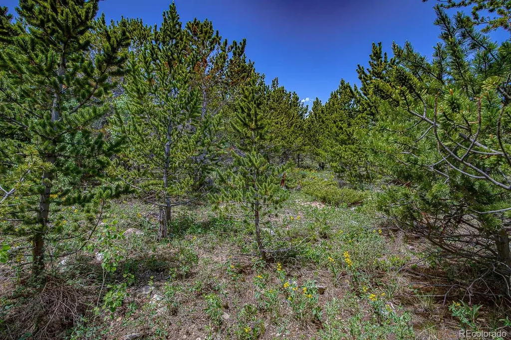 123 Yankee Hill Trail Black Hawk CO 80427