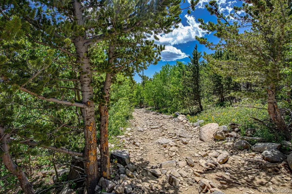 123 Yankee Hill Trail Black Hawk CO 80427