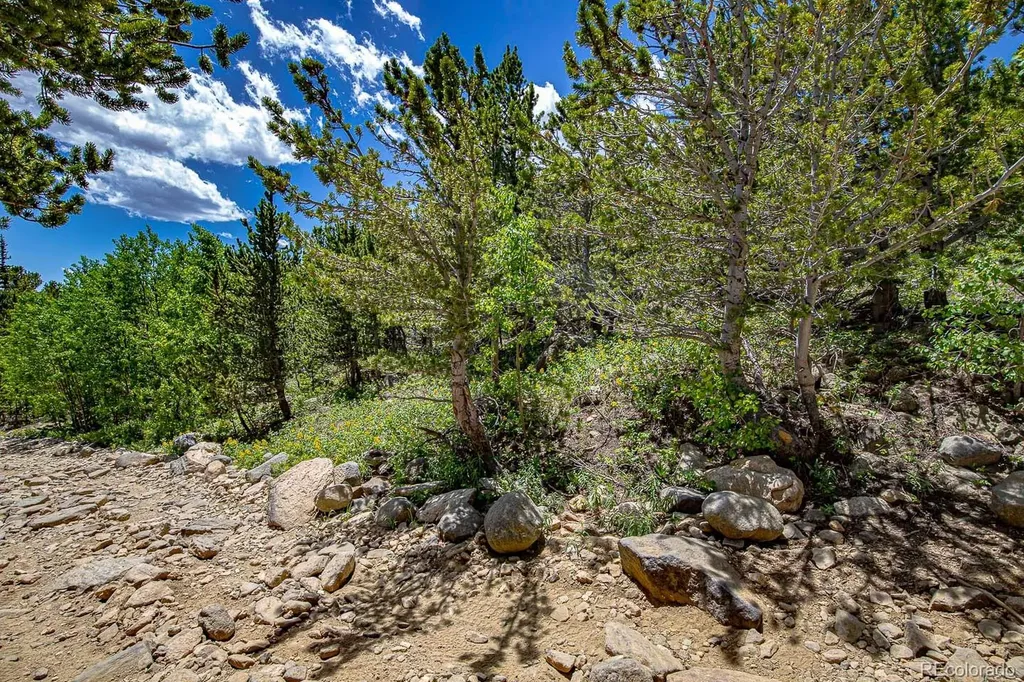 123 Yankee Hill Trail Black Hawk CO 80427