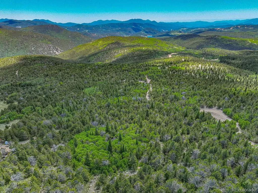 123 Yankee Hill Trail Black Hawk CO 80427