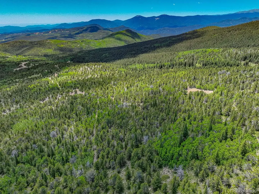 123 Yankee Hill Trail Black Hawk CO 80427