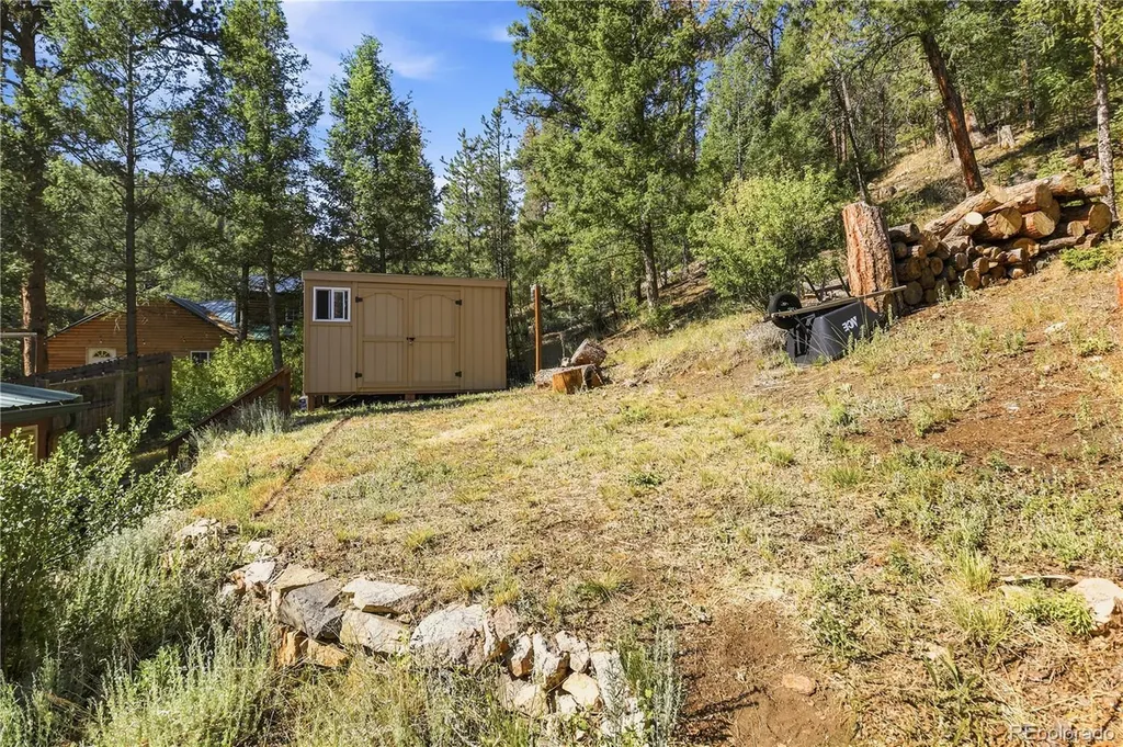14550 S Elk Creek Road Pine CO 80470