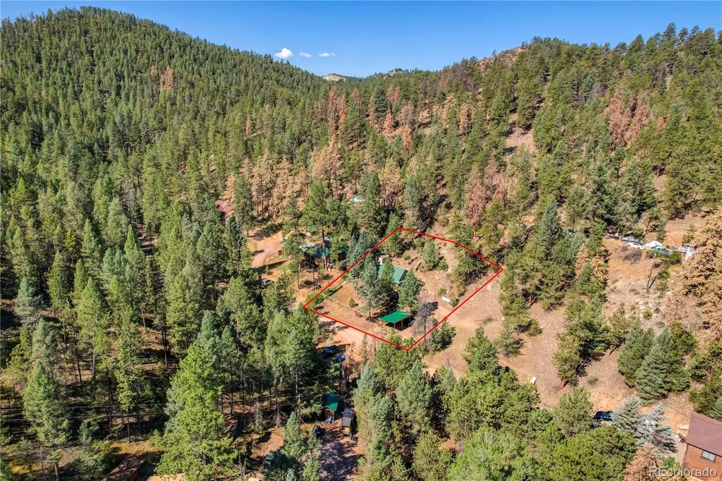 14550 S Elk Creek Road Pine CO 80470