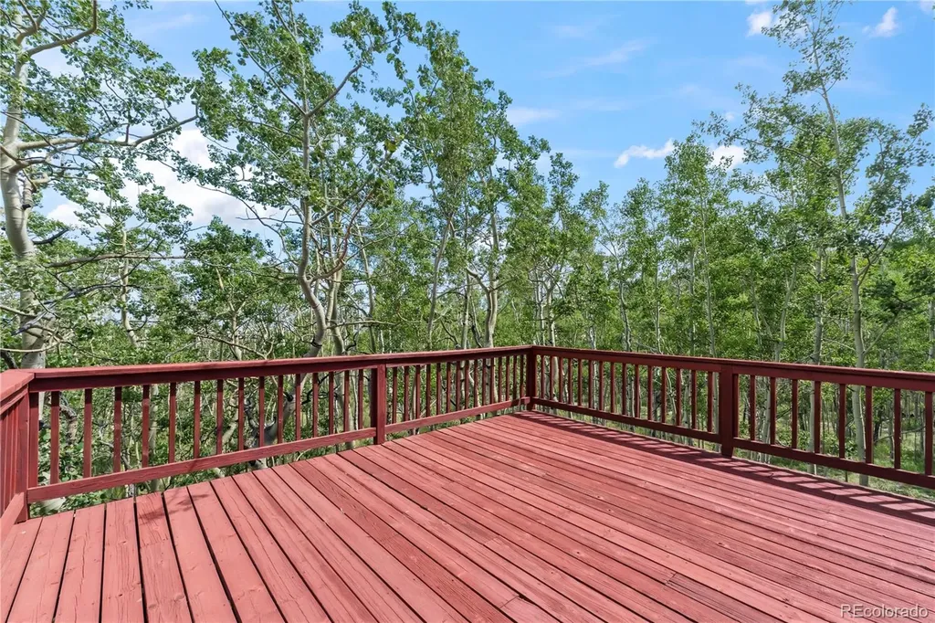 56 Sheep Ridge Road Fairplay CO 80440