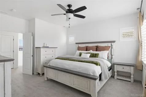 8946 Wolf Valley Drive Colorado Springs CO 80924