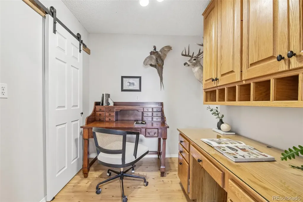 278 Overlook Drive Bailey CO 80421