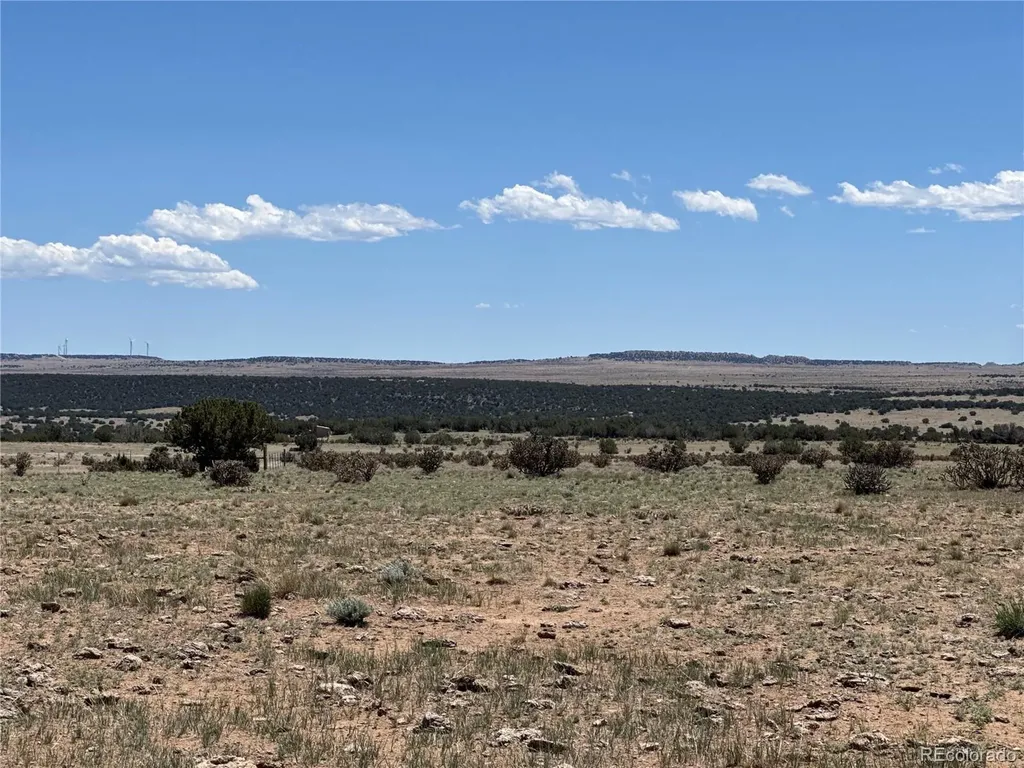 169 Tyrone Hills Walsenburg CO 81089