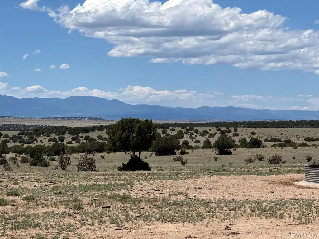 169 Tyrone Hills Walsenburg CO 81089