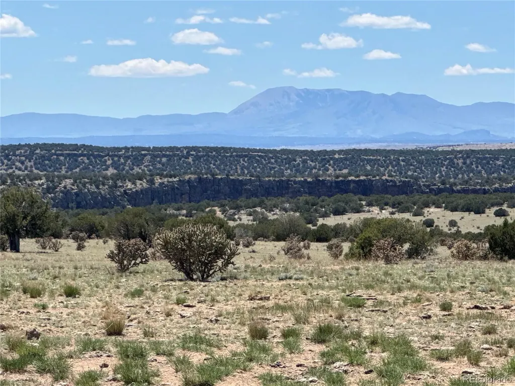 169 Tyrone Hills Walsenburg CO 81089