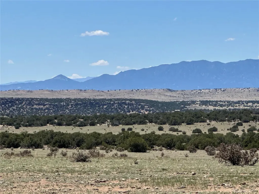 169 Tyrone Hills Walsenburg CO 81089