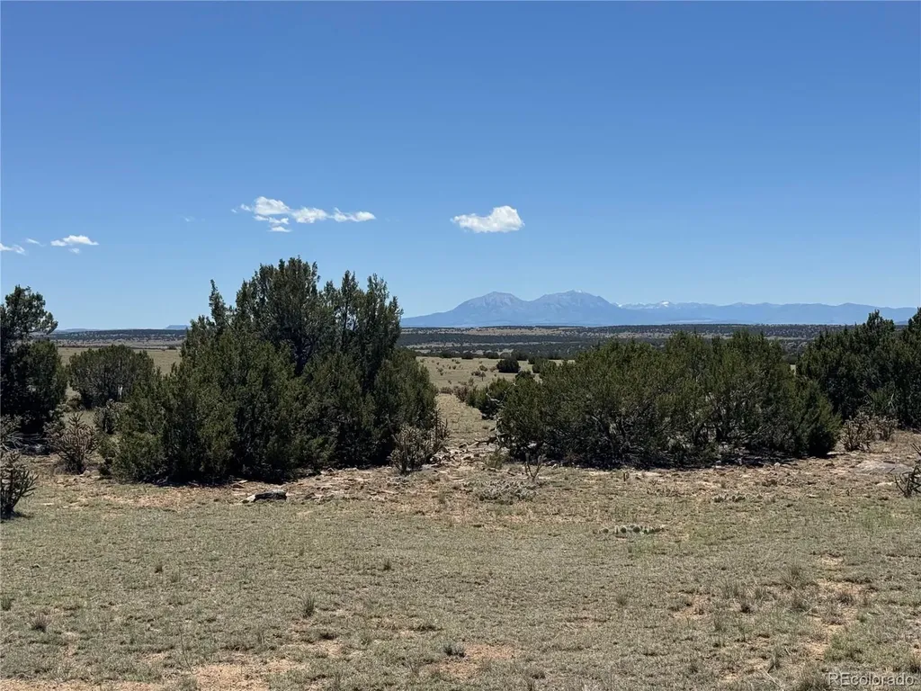 169 Tyrone Hills Walsenburg CO 81089