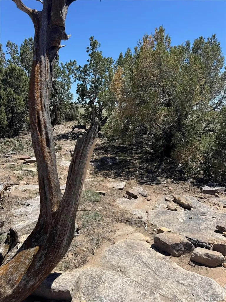 169 Tyrone Hills Walsenburg CO 81089