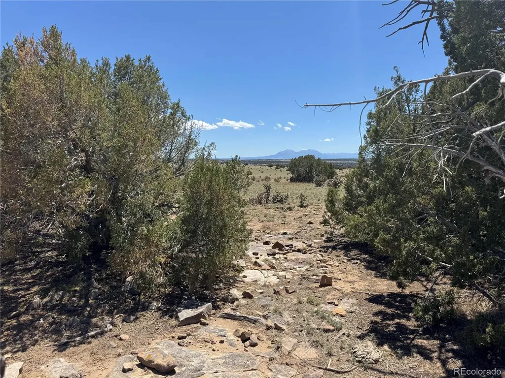 169 Tyrone Hills Walsenburg CO 81089
