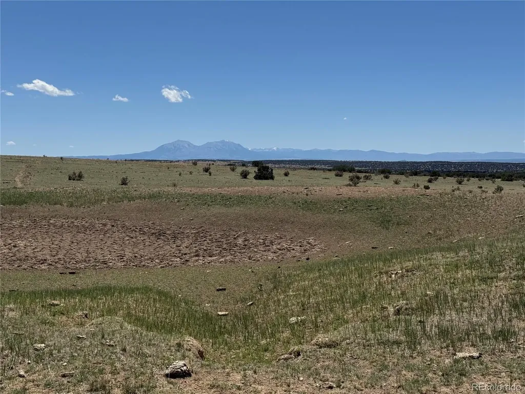 169 Tyrone Hills Walsenburg CO 81089